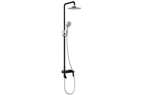 Rain-shower combination